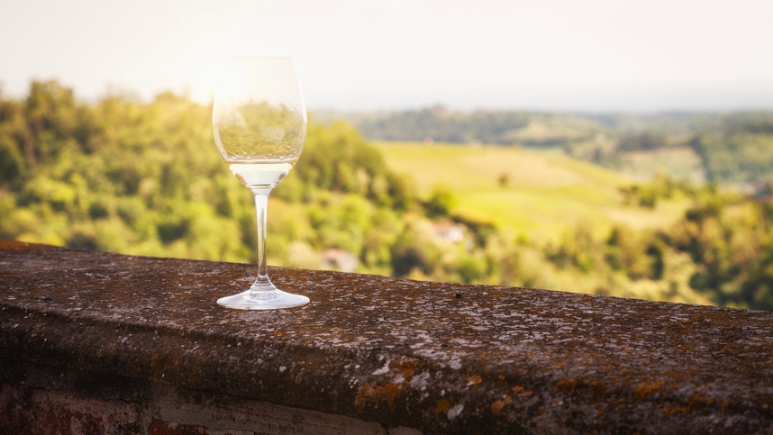 Arneis Langhe DOC: il versatile vino bianco piemontese Arneis Langhe DOC: il versatile vino bianco piemontese